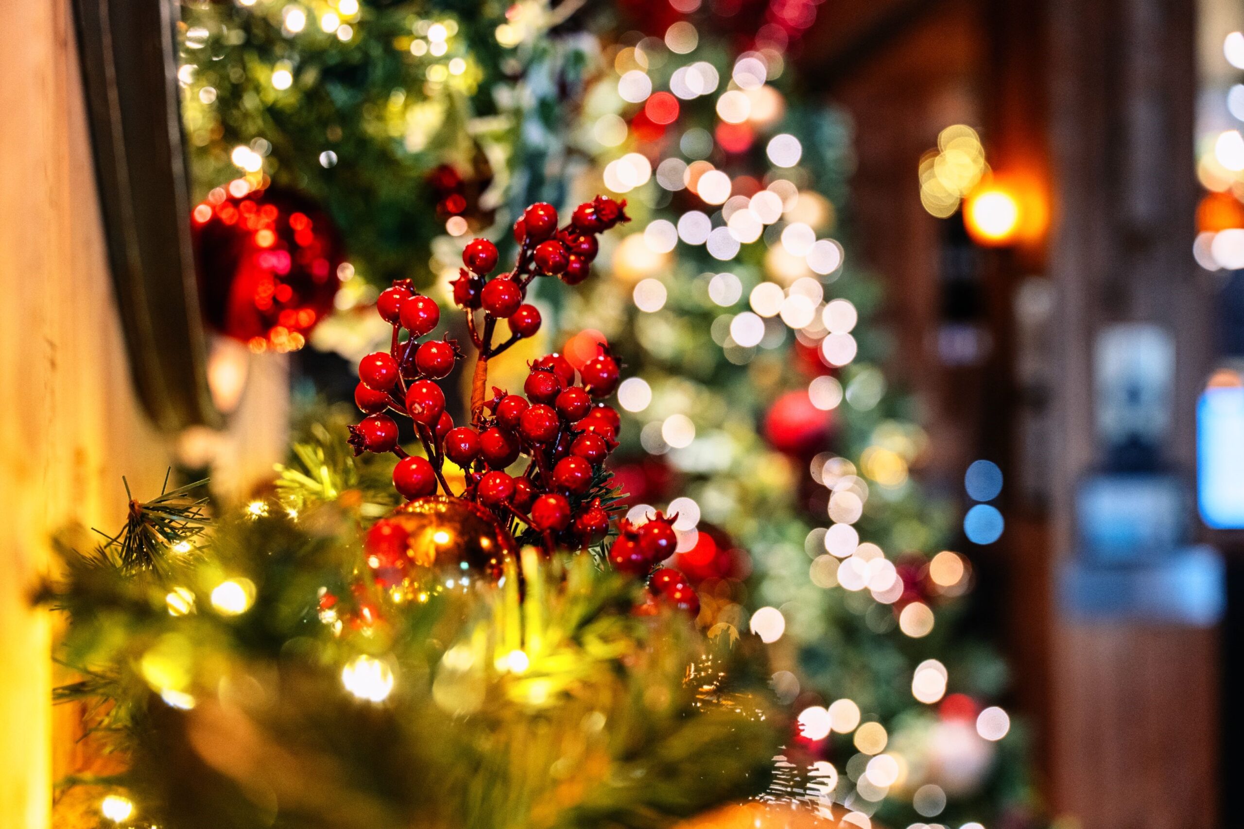 Cozy Up for Christmas Finding the Perfect Pajamas for the Whole Family