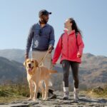 Dog friendly lake district