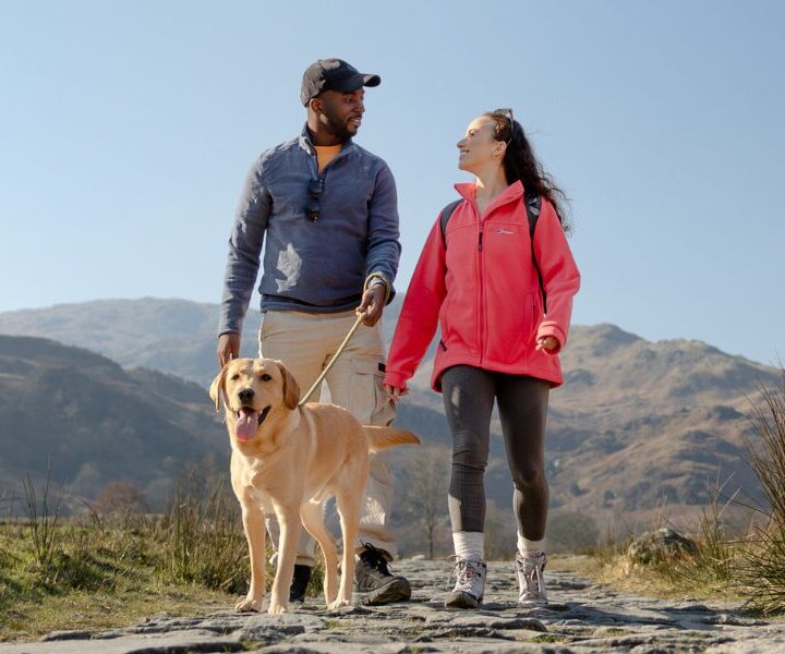 Dog friendly lake district