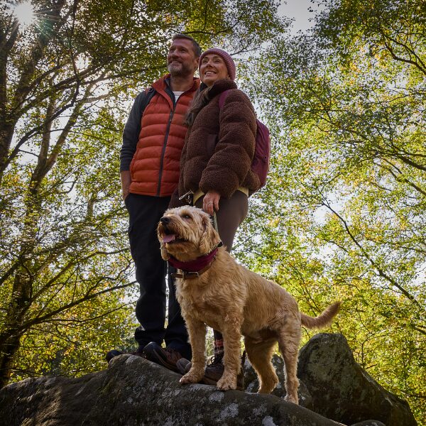 Hiking and long walks