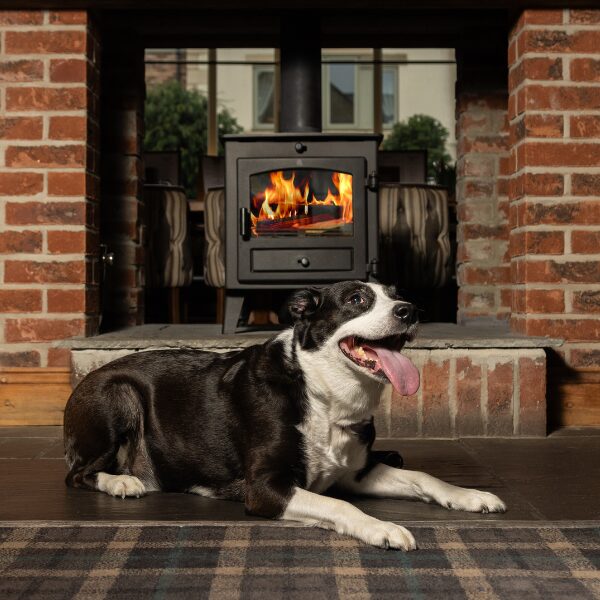 Relaxing in dog-friendly pubs and cafés