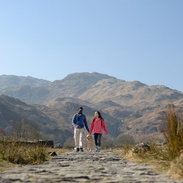 Getting immersed in a National Park