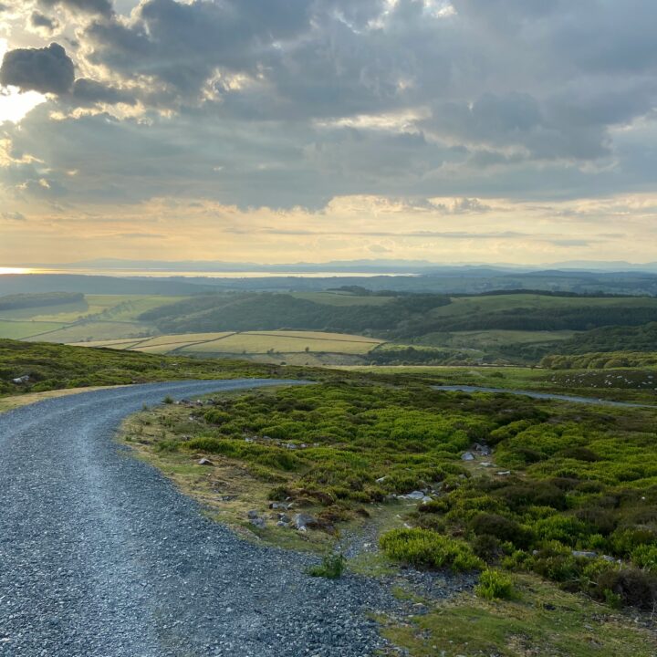 dog walks lancashire, beacon fell