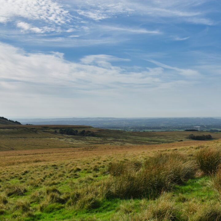 dog walks lancashire