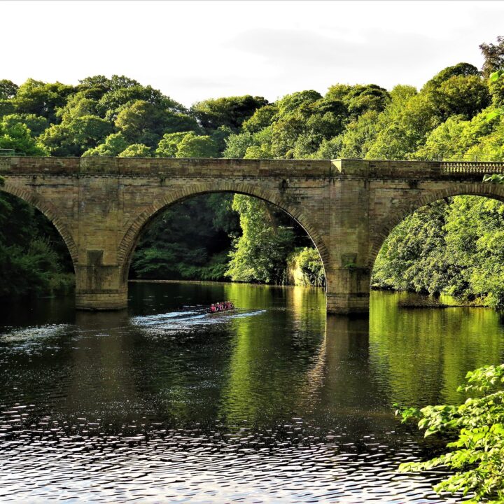 dog walks durham