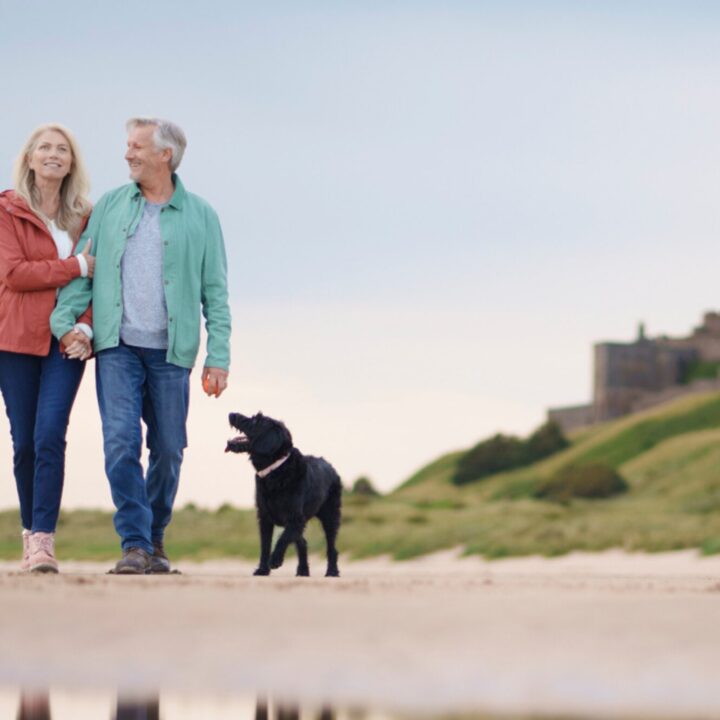 dog walks northumberland