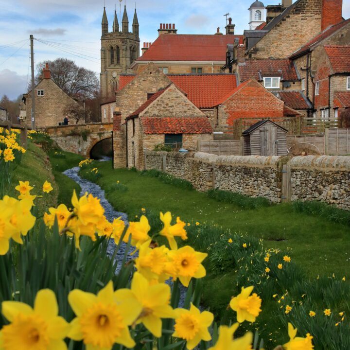 dog walk yorkshire, helmsley