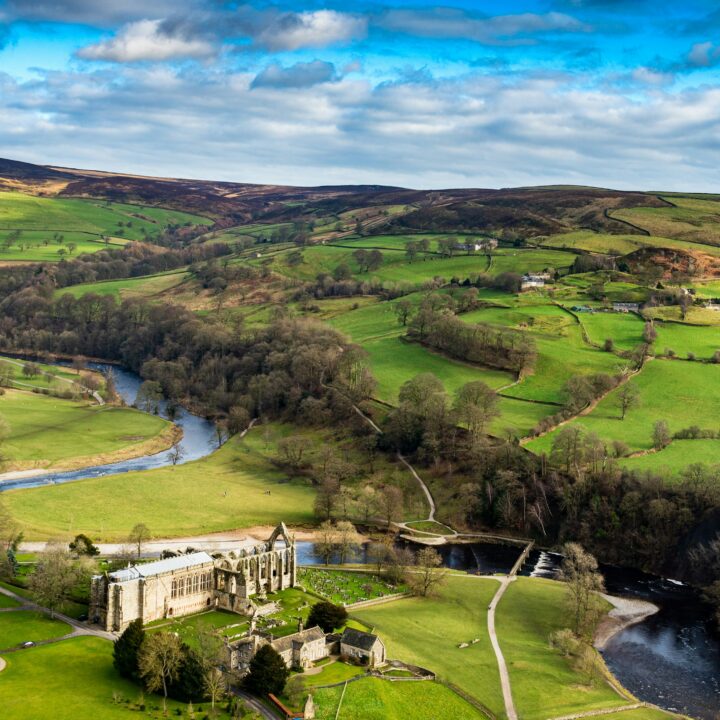 dog walk yorkshire, bolton abbey