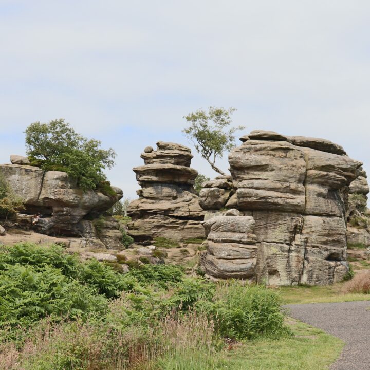 dog walk yorkshire, Brimham Rock