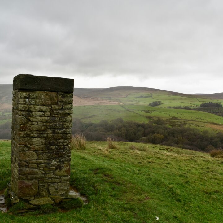 dog walks lancashire, nicky nook