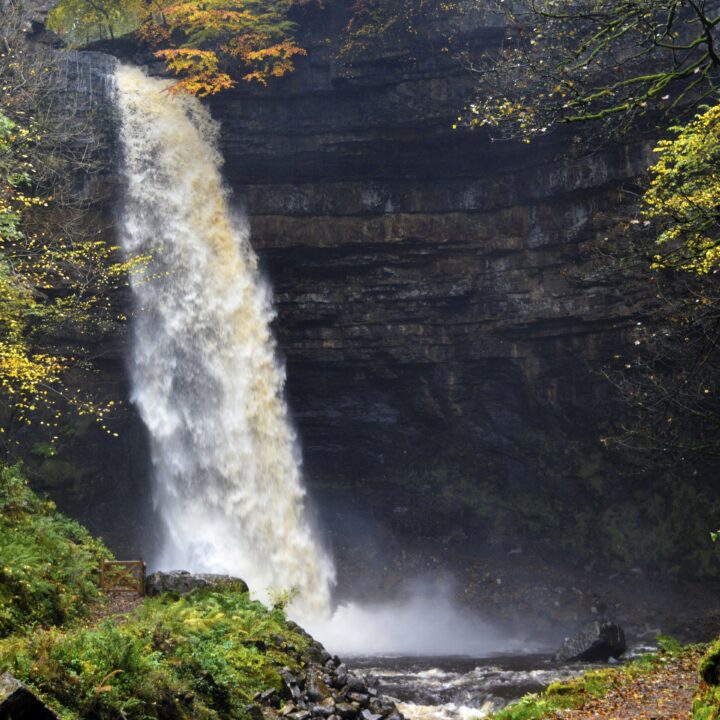 dog walks yorkshire, hardraw force