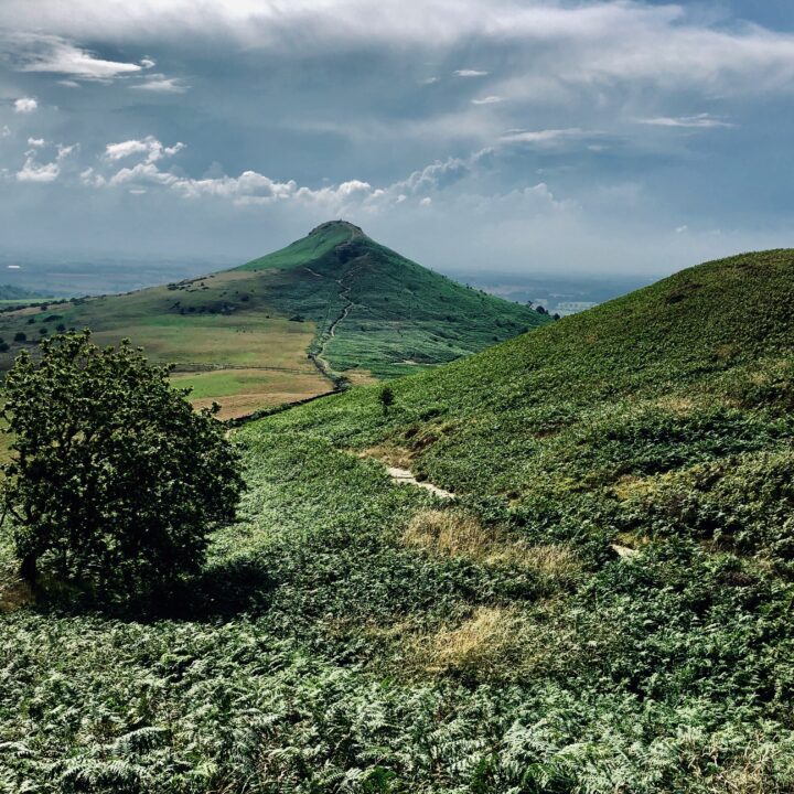 dog walks yorkshire, roseberry topping