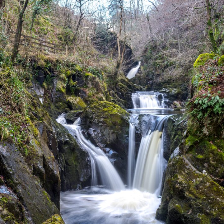 dog walks yorkshire, Ingleton